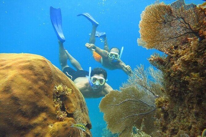 Isla Mujeres party on board! Catamaran,Lagoon,Snorkel & Downtown - The practical side