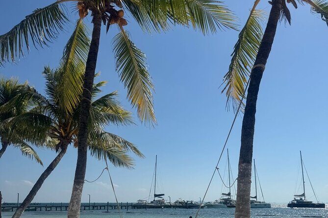 Isla Mujeres Plus Tour with Snorkeling Buffet and Open Bar - Snorkeling at Arrecife El Meco