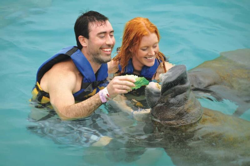 Isla Mujeres: Sea Lion & Manatee Interaction with Buffet - A Practical Look at the Experience