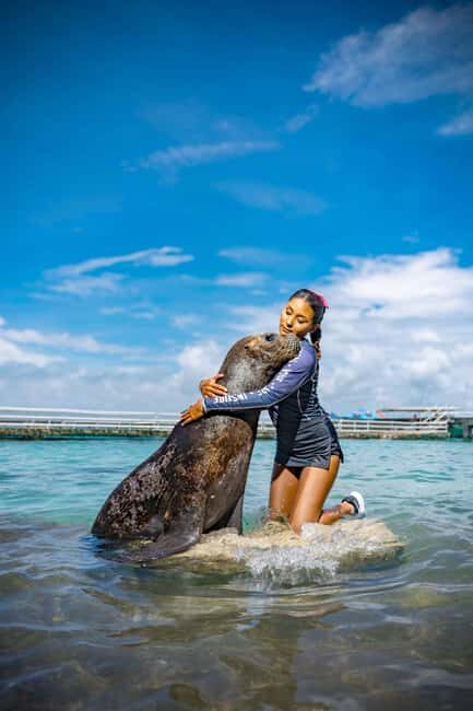 Isla Mujeres: Sea Lion & Manatee Interaction with Buffet - FAQ