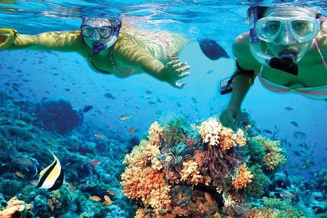 Isla Mujeres tour in a Catamaran with snorkel, open bar, lunch - FAQ: Your Questions Answered