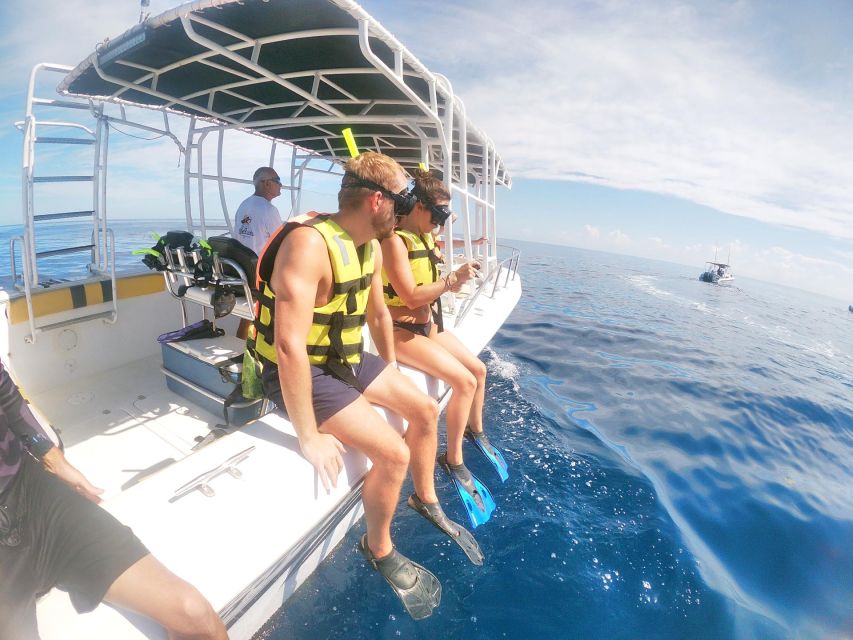 Isla Mujeres: Whale Shark Tour - Transportation and Accommodations