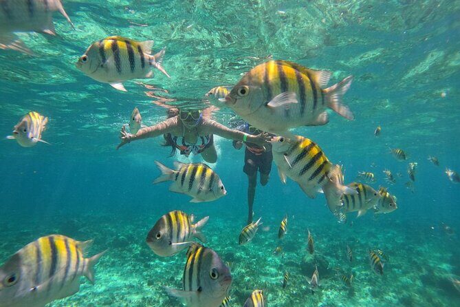 Isla Mujeres Yacht Tour Cancun - Price and Value