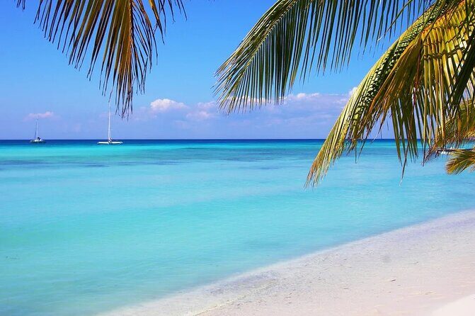 Isla Saona a tropical paradise and the best natural pool in Punta Cana - An In-Depth Look at Isla Saona Tour