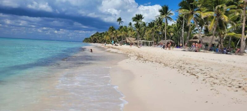 Isla Saona Day Trip From Santo Domingo with Lunch - Detailed Breakdown of the Itinerary