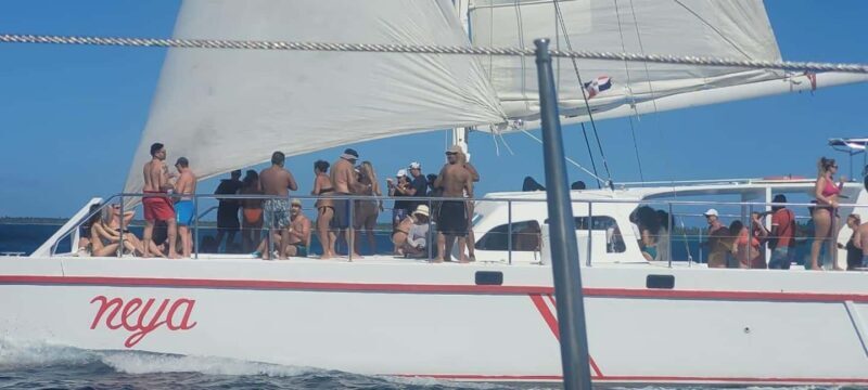 Isla Saona Day Trip From Santo Domingo with Lunch - Practical Tips for Travelers