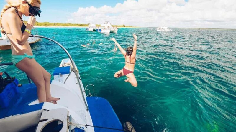 isla saona día completo - What You Can Expect from the Isla Saona Tour