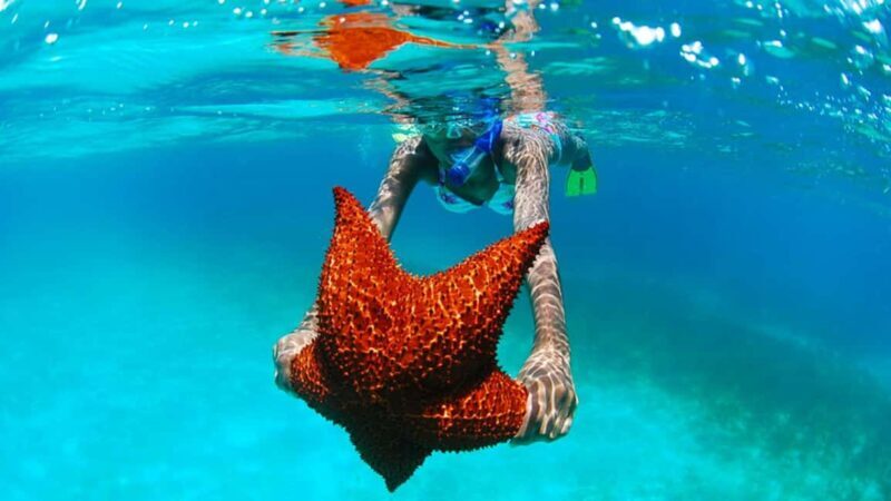 isla saona día completo - Practical Tips