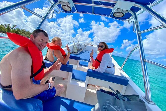 Isla Saona Full-Day Tour: Beach, Lagoon, Snorkeling & Mangroves - Tour Overview