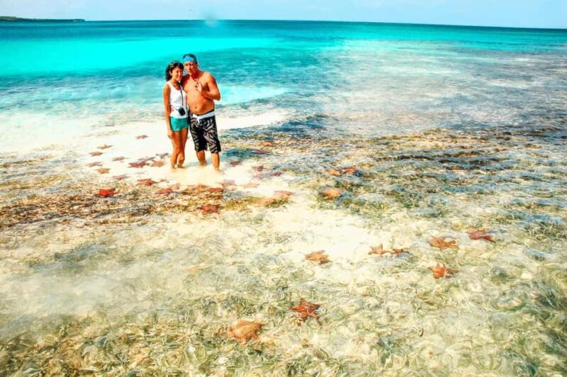 Isla Saona Speedboat Tour - Lunch, Wildlife & Natural Pools - Key Points