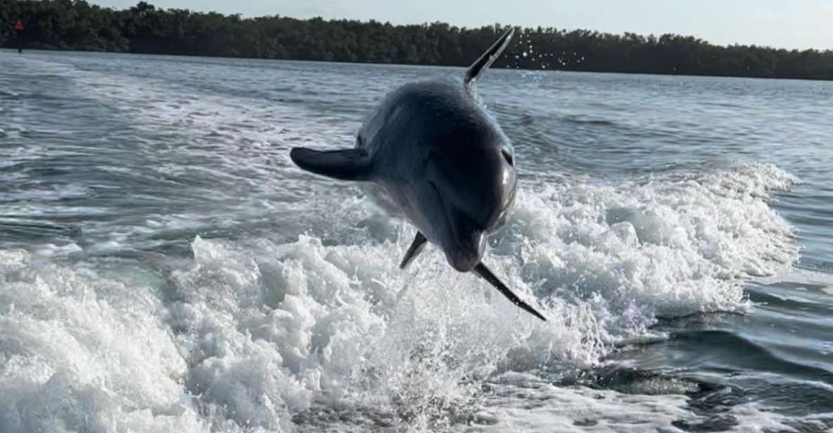 Islamorada: Multi-Activity Private Boat Charter - Inclusions