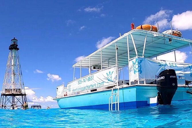 Islamorada: Whale Harbor Sandbar With Swimming - Accessibility Information