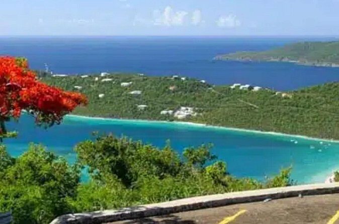 Island Buggy Excursions - Final Thoughts: Who Will Love This Experience?