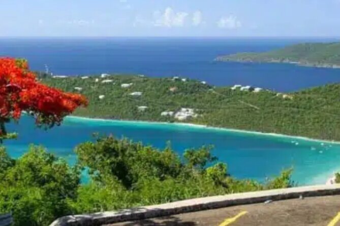 Island Buggy Excursions - Frequently Asked Questions