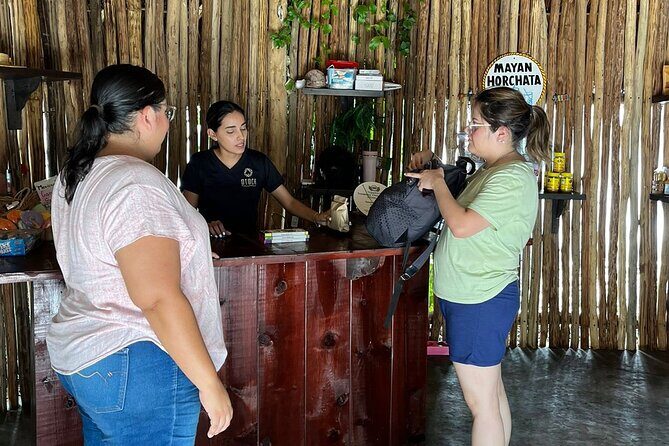 Island Buggy Tour & Mayan Experience - The Group Size and Logistics