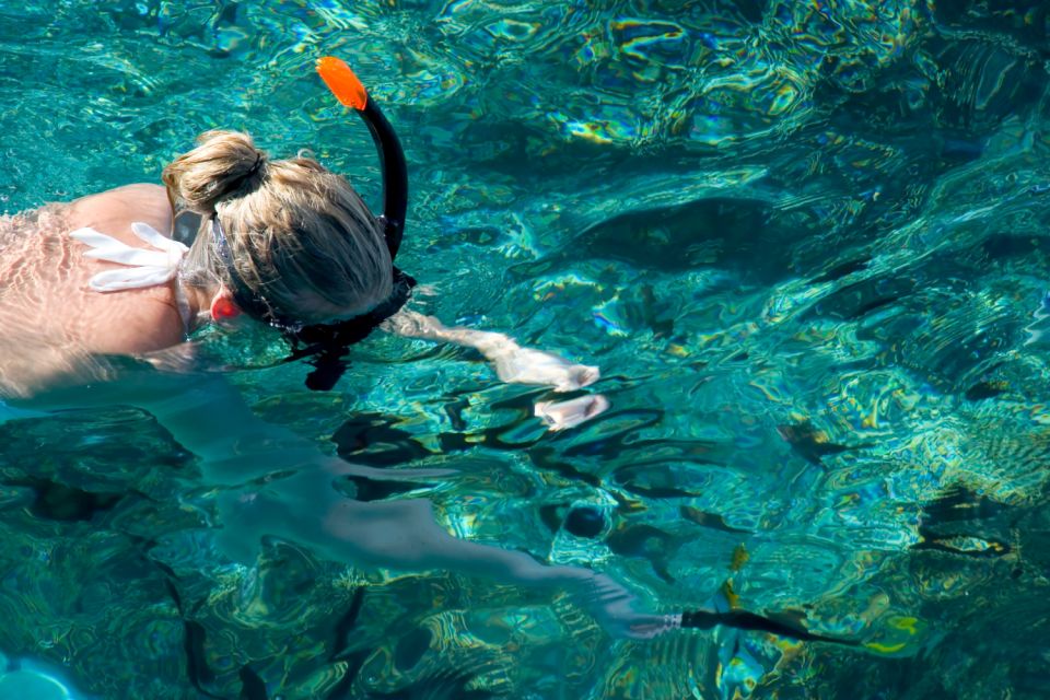 Island Catalina Tour - Explore Isla Catalinas Landscapes