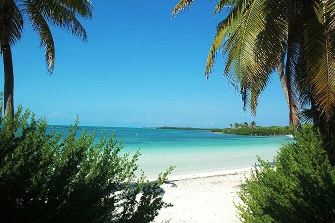 Island Contoy Adventour & Buffete & Isla Mujeres only from Cancun - The Sum Up