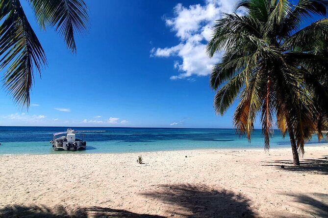 Island DE Saona: EN Small Group Tour on Trimaran Motorise - Key Points