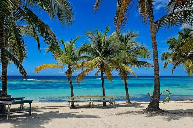 Island DE Saona: EN Small Group Tour on Trimaran Motorise - Who Will Love This Tour?