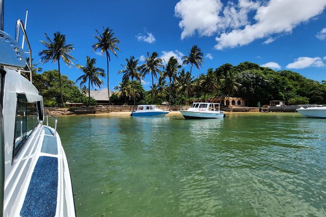 Island Escape Day Trip Speedboat Excursion in Maputo - Accessibility and Participation