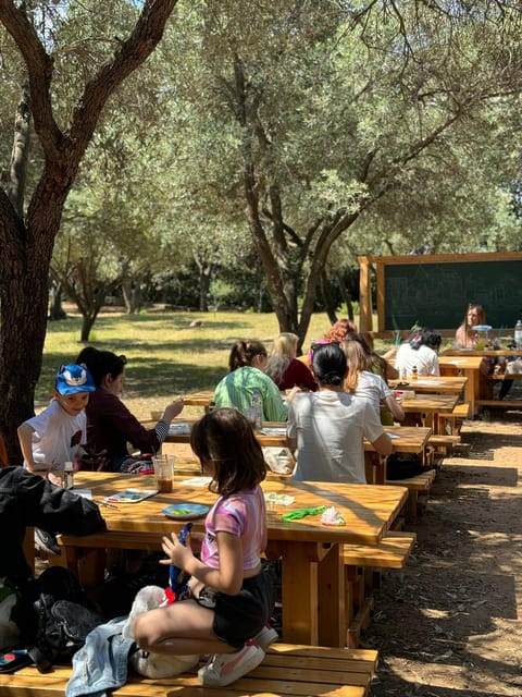 Island Escape: One-of-a-Kind Local Workshop on Lokrum Island - Getting to Lokrum Island