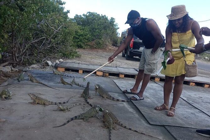 Island Experience Of St Maarten St Martin - The Sum Up: Is It Worth It?