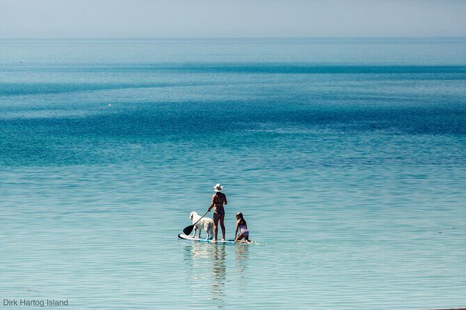 Island Life Adventures | A Day at Dirk - Final Thoughts on the Experience