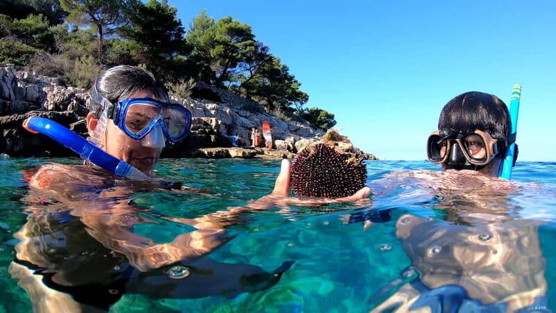 Island Losinj Kayak Tour - Key Points