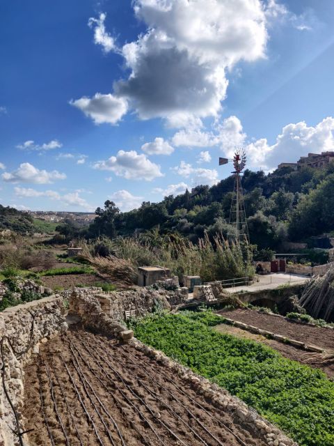 Island of Gozo: Private Tour - What to Expect