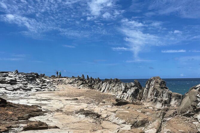 Island of Maui Customized Half Day Tour - Exploring Maui with a Customized Half-Day Tour: A Practical Review