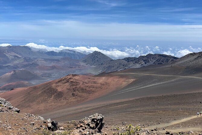 Island of Maui Customized Half Day Tour - Key Points