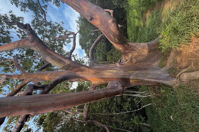 Island of Maui Customized Half Day Tour - Practical Tips for Booking and Enjoying Your Day