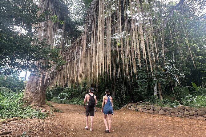 Island of Maui Customized Half Day Tour - The Sum Up: Is This the Right Tour for You?