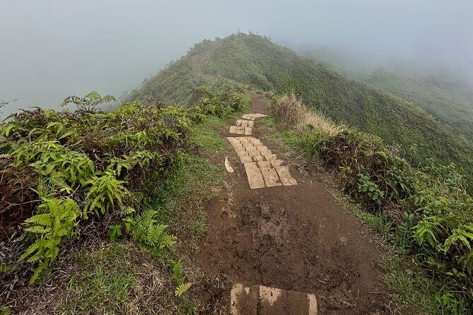 Island of Maui Customized Half Day Tour - FAQ