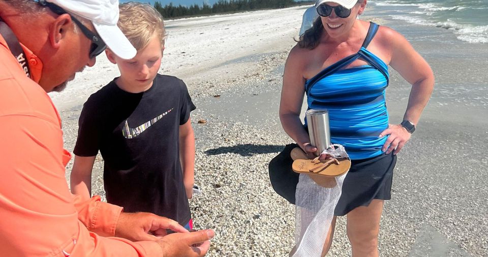 Island Paradise: Dolphin, Shelling, Birding Eco Boat Tour - Barrier Island Beach