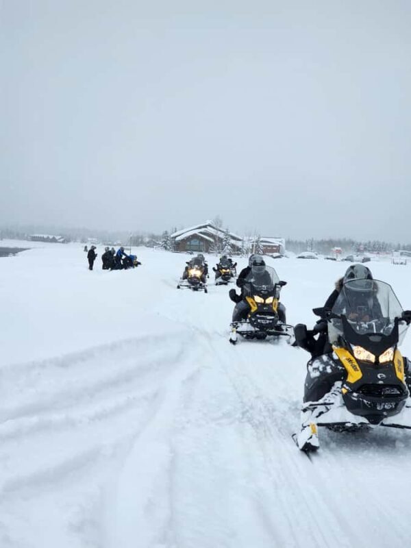 Island Park: Full Day Snowmobile Rental - Key Points