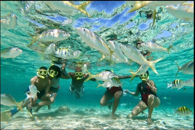 Island Snorkeling and Scenic Adventure in Dominican Republic - Final Thoughts: Is This Tour for You?