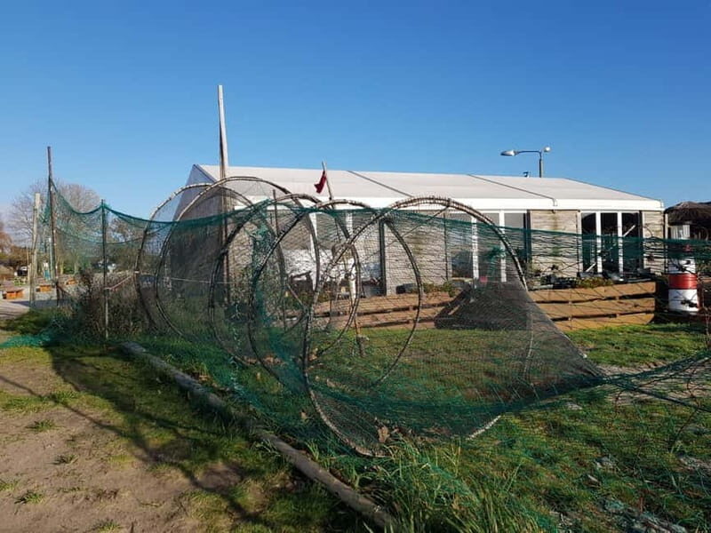 Island taster tour with Swinemünde - Practical Details & Value