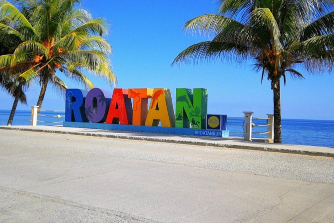 Island Tour/Monkeys and Sloth Park/Chocolate & Rum Factory/Beach - Park Activities and Attractions