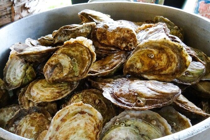 Island Tour with Oyster Tasting & Merroir Experience P.E.I. - A Closer Look at the Itinerary
