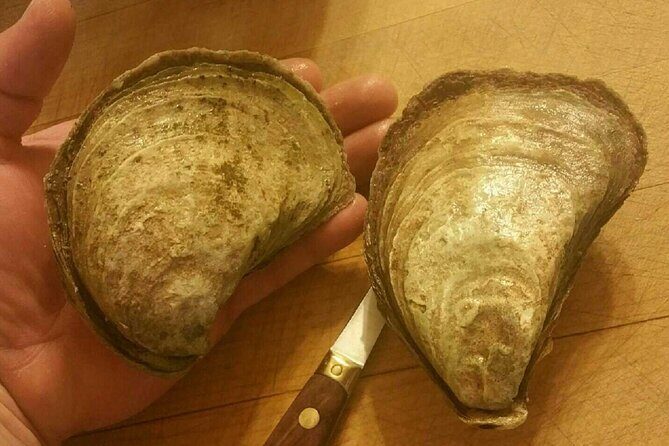 Island Tour with Oyster Tasting & Merroir Experience P.E.I. - Accessibility and Convenience