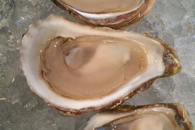 Island Tour with Oyster Tasting & Merroir Experience P.E.I. - Authenticity and Quality