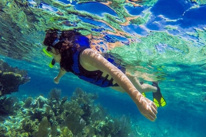 Island Tour With Snorkeling in West Bay Honduras - Roatan Rum Company