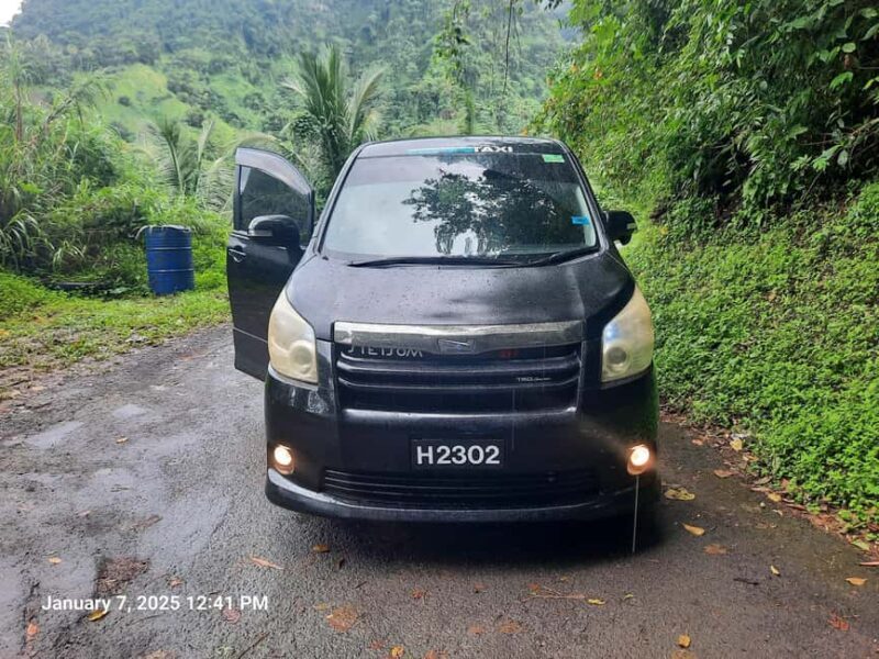 Island Tours: St. Vincent & the Grenadines - Dark View Falls - Price and Value