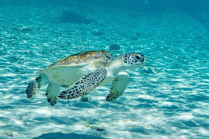 Island Treasures: Caves, Turtles and Turquoise Beach Break - What’s Included and What’s Not