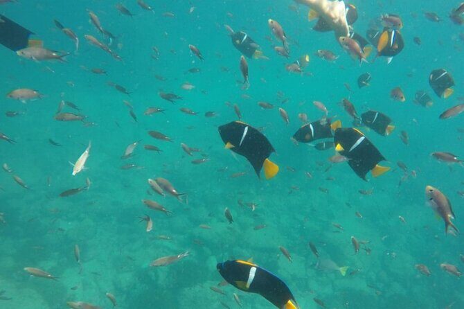 Islas Marietas PRIVATE enter hidden beach 100% GUARANTEED - The Sum Up: Is This Tour Worth It?