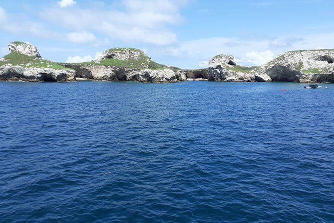 Islas Marietas Tour on Catamaran - Departures from Puerto Vallarta - FAQ