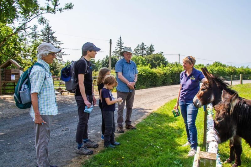 Isle of Arran: Farm Experience Entry Ticket - Exploring the Farmyard