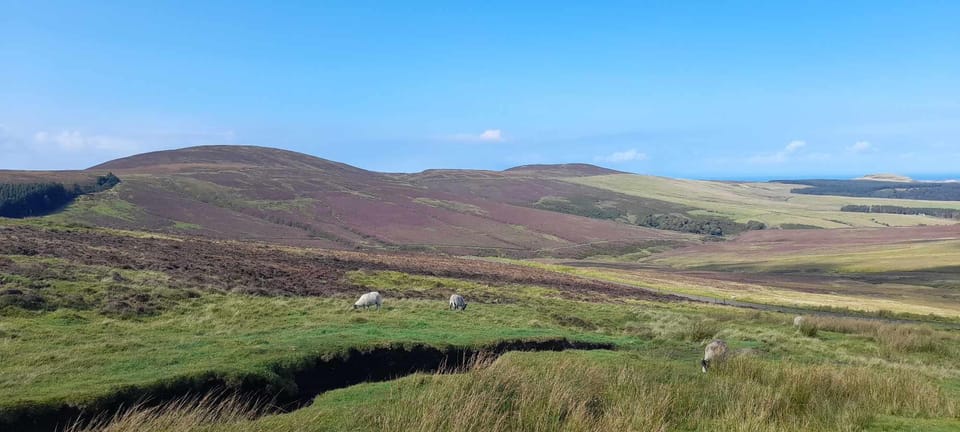 Isle of Man: Discovery Tour. A whistle stop all Island Tour. - Frequently Asked Questions