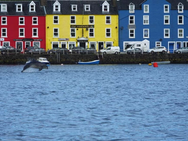 Isle of Mull: Guided Coastal Walk to Tobermory Lighthouse - Who Should Consider This Tour?